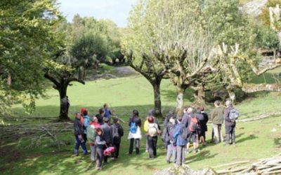 Los secretos de los bosques de Aralar