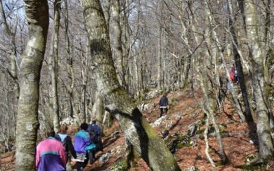 Un millar de visitantes en Semana Santa en los parques de Arditurri y Aralar