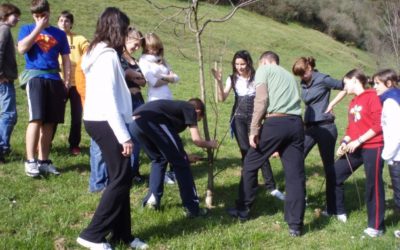 TIZ de Tolosa confia en Artelatz cuatro cursos más