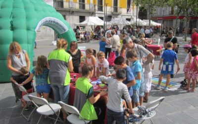 Acierta con el verde en Tolosaldea