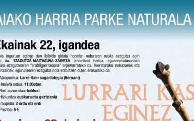 Lurrari kasu eginez Aiako Harria parke naturalean