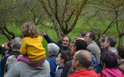 Con la llegada de la primavera, llegan las excursiones para conocer los cantos de los pájaros en los Parques Naturales de Gipuzkoa