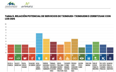 En cuánto contribuye Servicios de Txingudi a los  Objetivos de Desarrollo Sostenible?